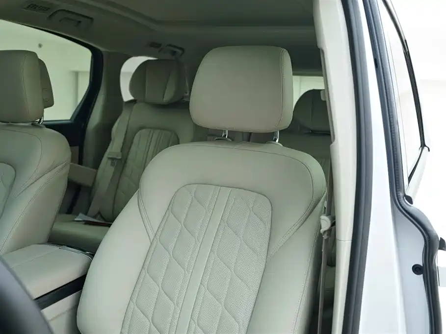 Buick GL8 2023 ES Landmaster Comfort фото 12