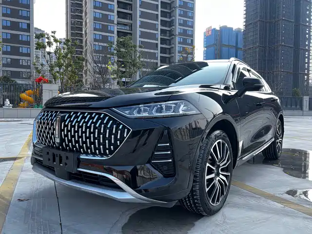 WEI PAI WEI BRAND MOCHA