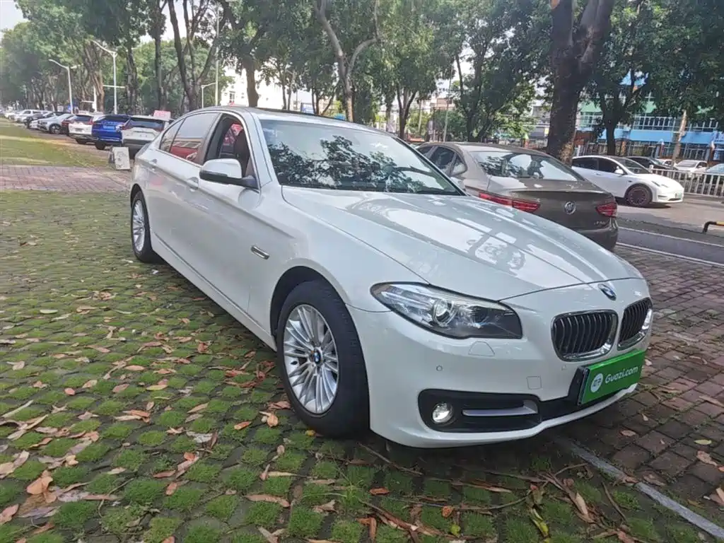 BMW 5 Series 2014 525Li Leading фото 4
