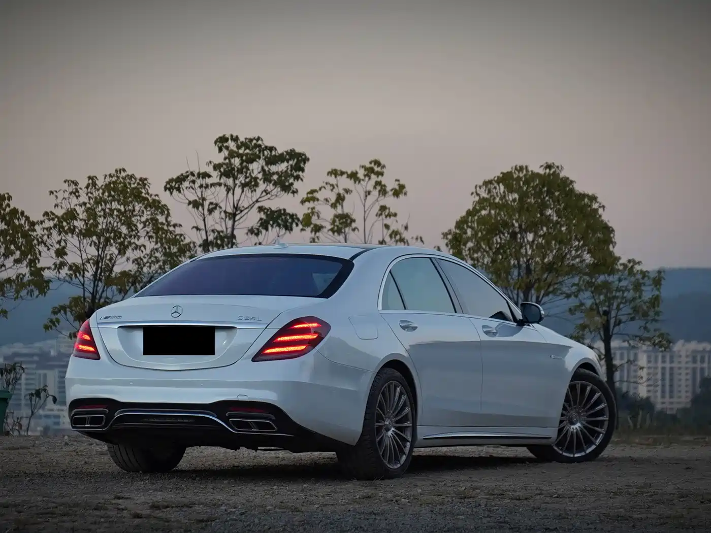 Mercedes-Benz S-Class AMG 2014 AMG S 65 L фото 3