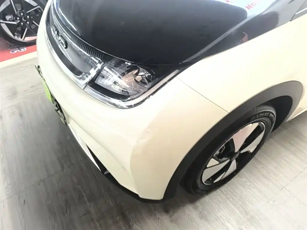 BYD Dolphin 2023 420km Fashion Edition фото 24