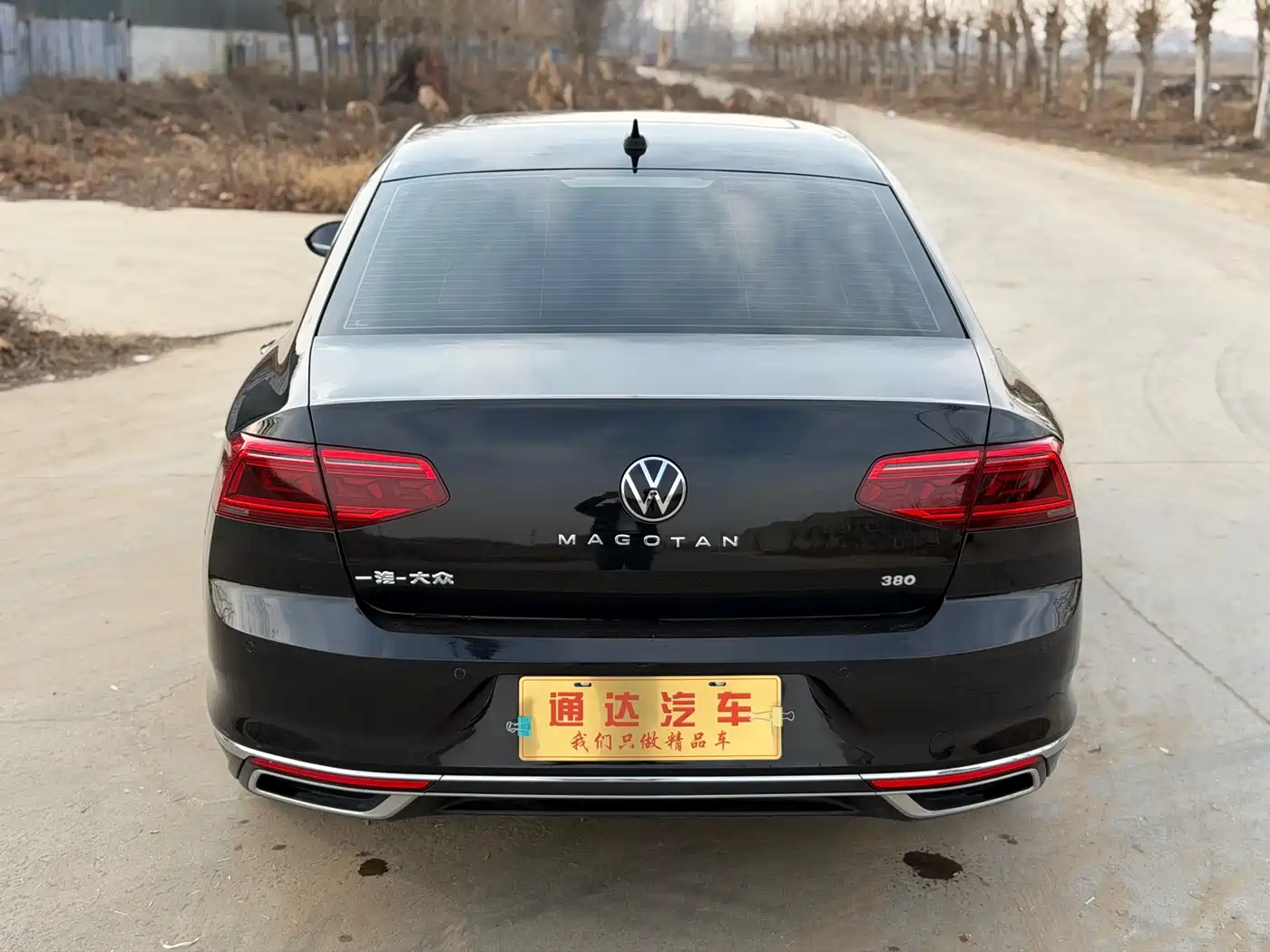 Volkswagen Magotan 2020 330TSI DSG Luxury фото 8