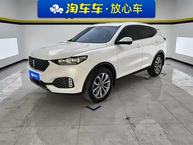 WEI PAI WEI BRAND VV6