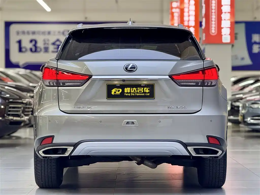 Lexus RX 2020 300 2WD Comfort Edition China VI фото 2