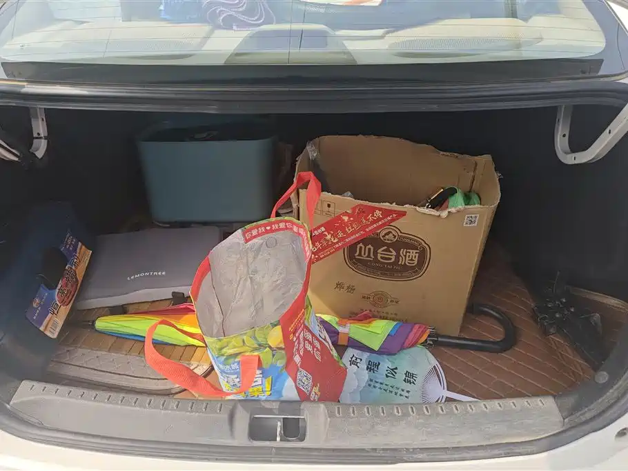 GREAT WALL C30 NEW ENERGY