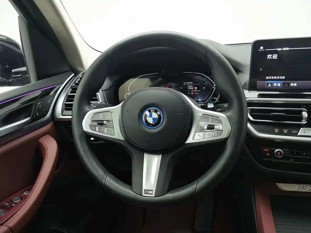 BMW iX3 2024 2024 Leading Edition
