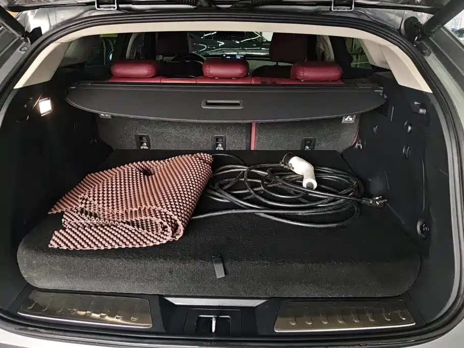 WEY P8 2018 2018 2.0T Flagship Model