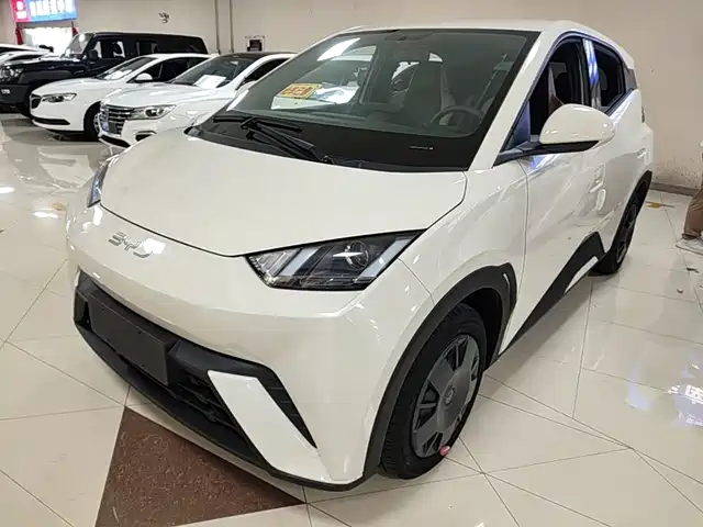 BYD Seagull 2024