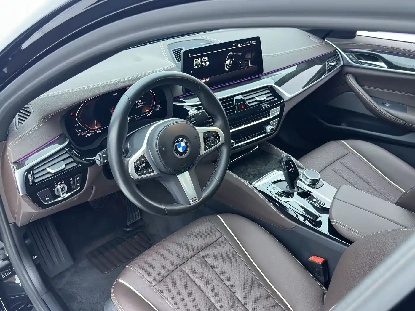 BMW 5 SERIES