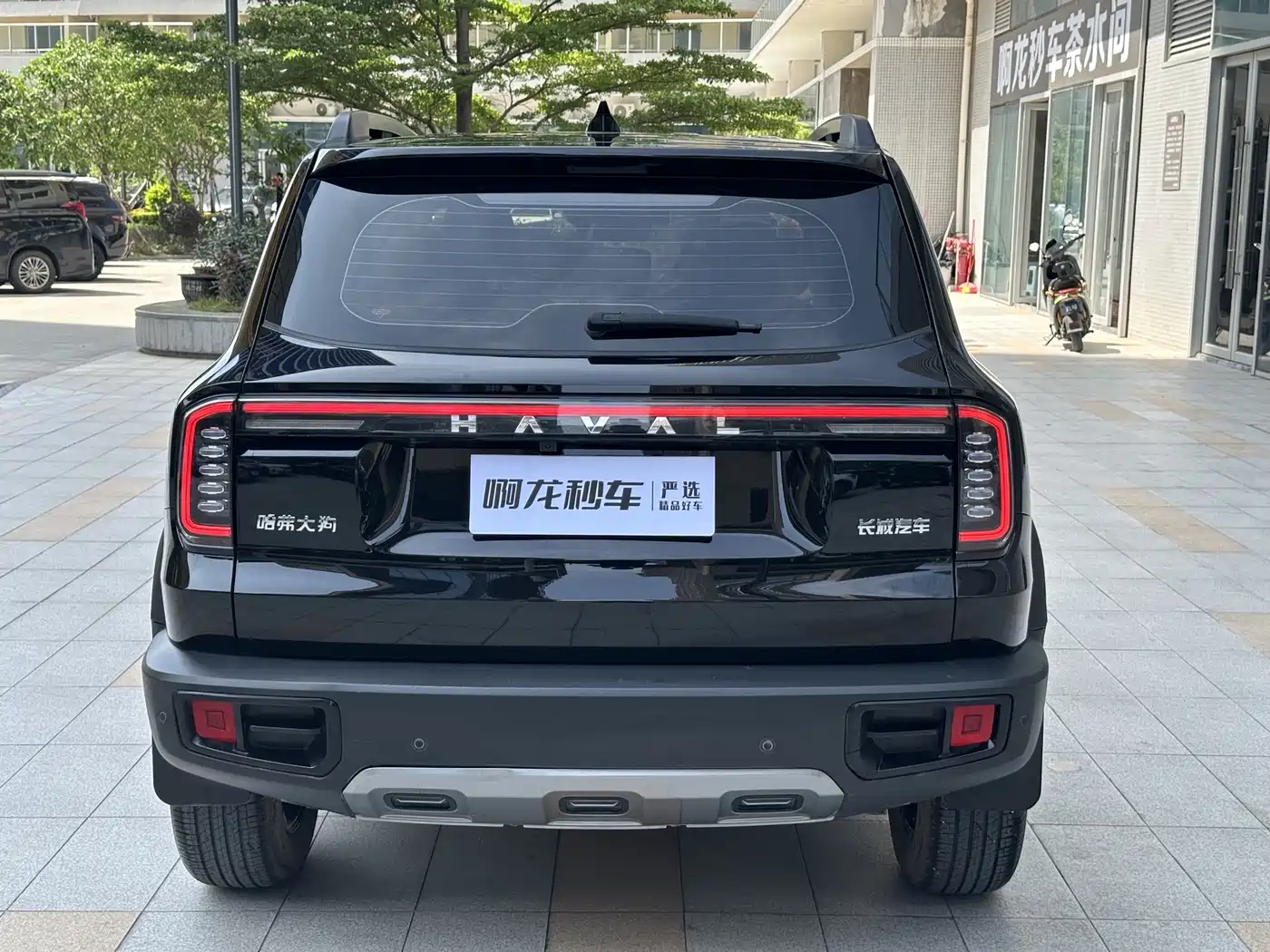 HAVAL BIG DOG