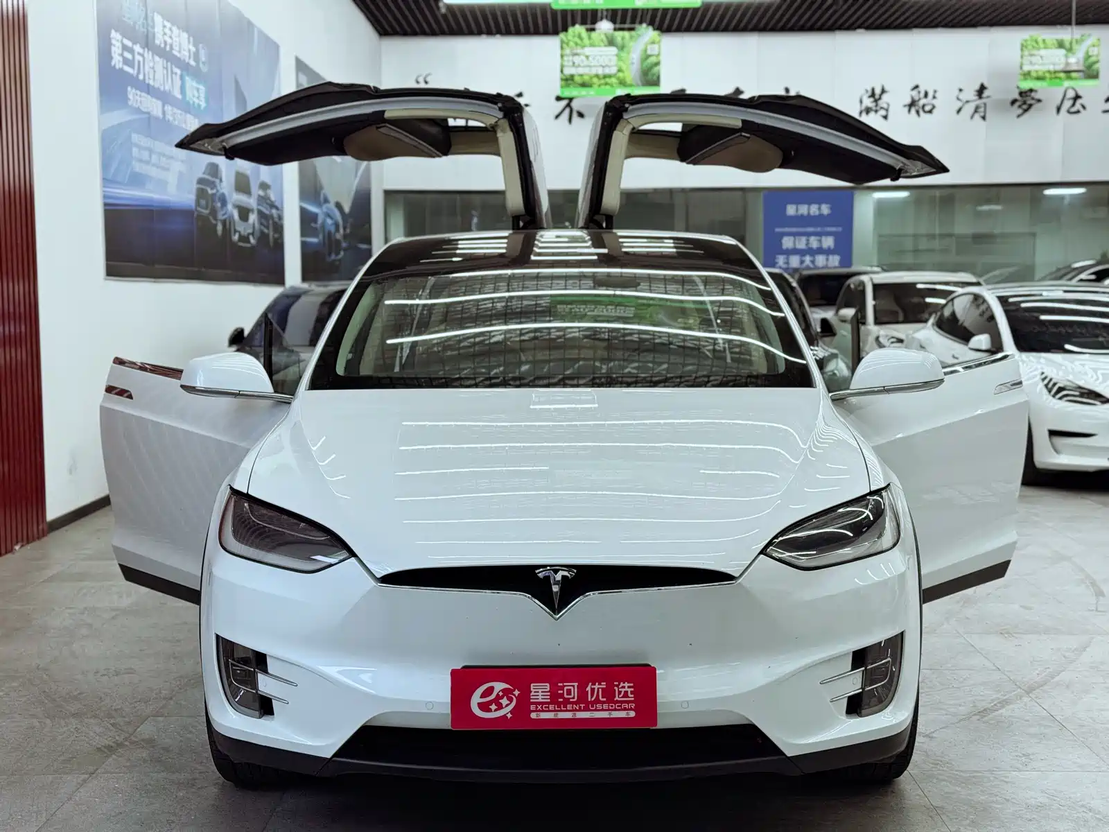 Photo 9 - Tesla Model X