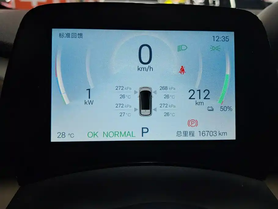 BYD Dolphin 2025 420km Freedom Edition фото 14