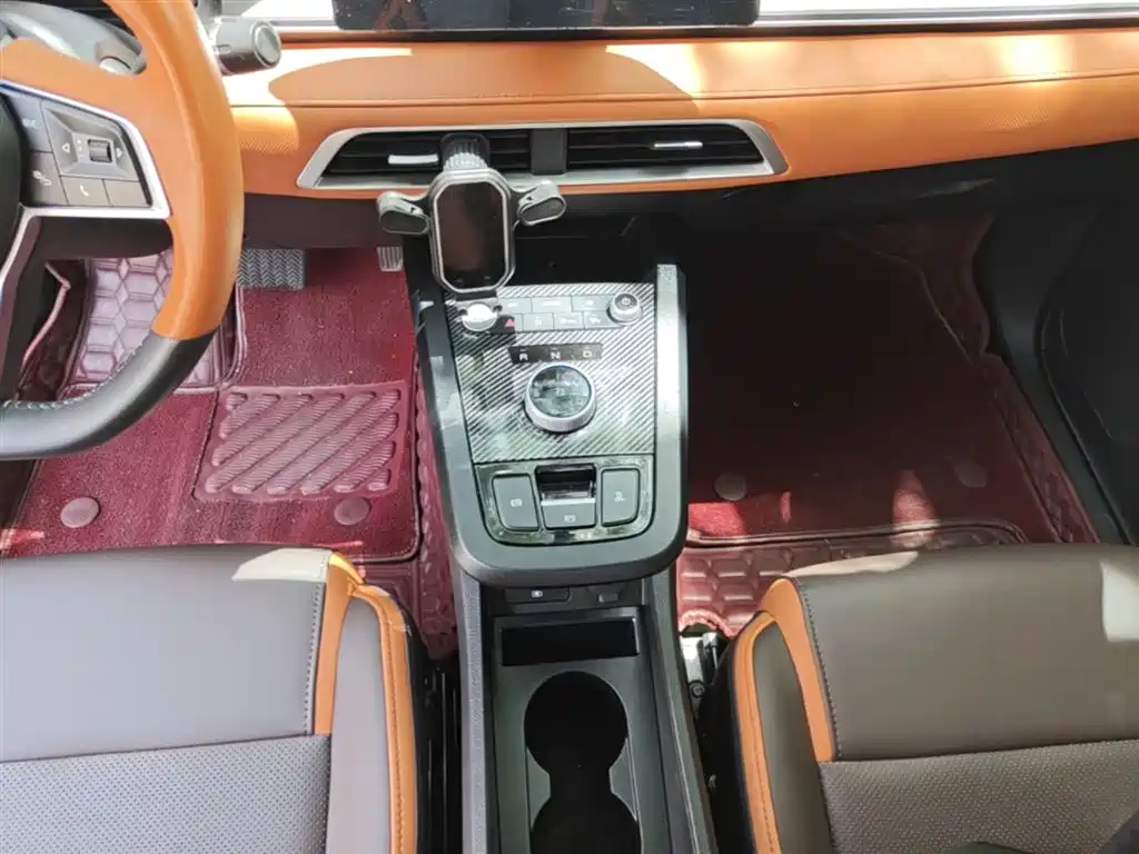 BYD e2 2021 Luxury Edition фото 14