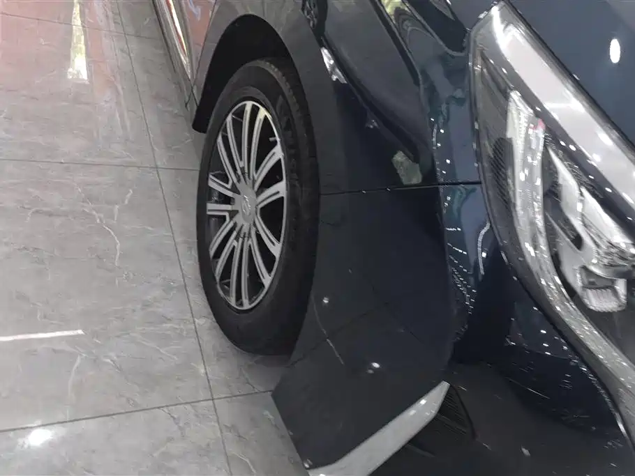 GAC Trumpchi Trumpchi M8 2021 Leading Show Series 390T Prestige Edition фото 6