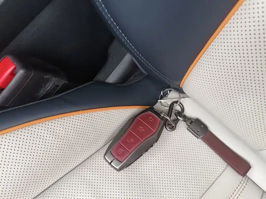 BYD Song PLUS PHEV 2023 Champion Edition DM-i 150KM Flagship PLUS фото 9