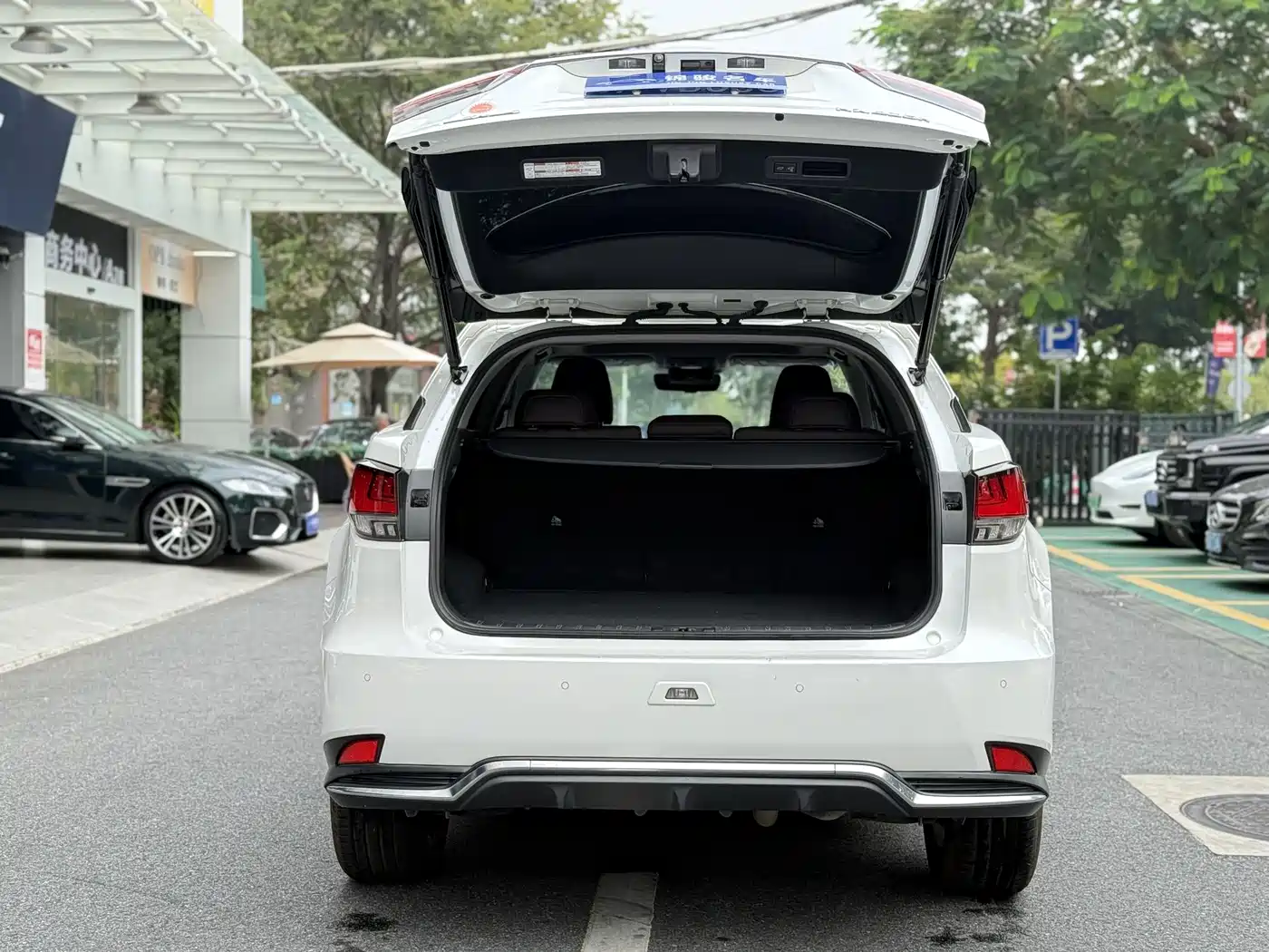 LEXUS RX