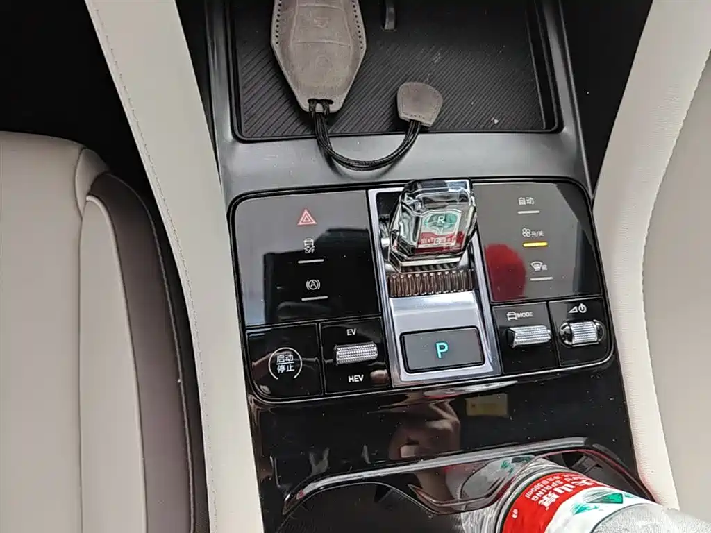 BYD Song PLUS PHEV 2025 DM-i 112KM Premium фото 14