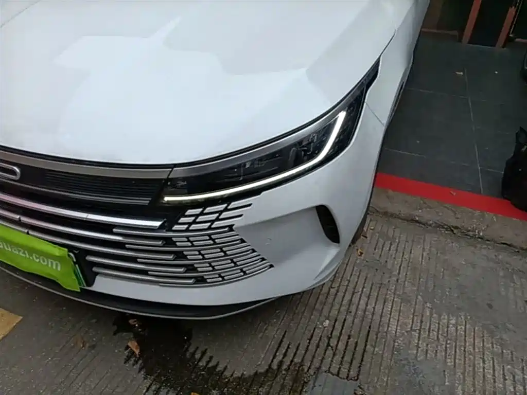 BYD Destroyer 05 2024 Glory Edition DM-i 55KM Luxury фото 24