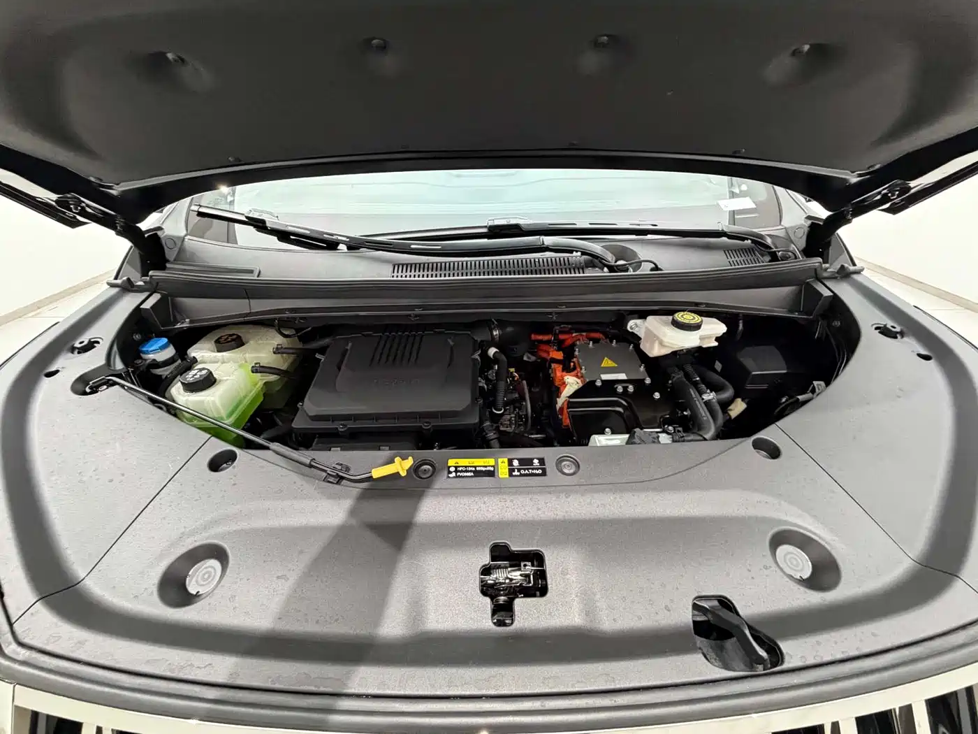 GAC Trumpchi Trumpchi E9 2024 E9 Lunar New Year Edition фото 18