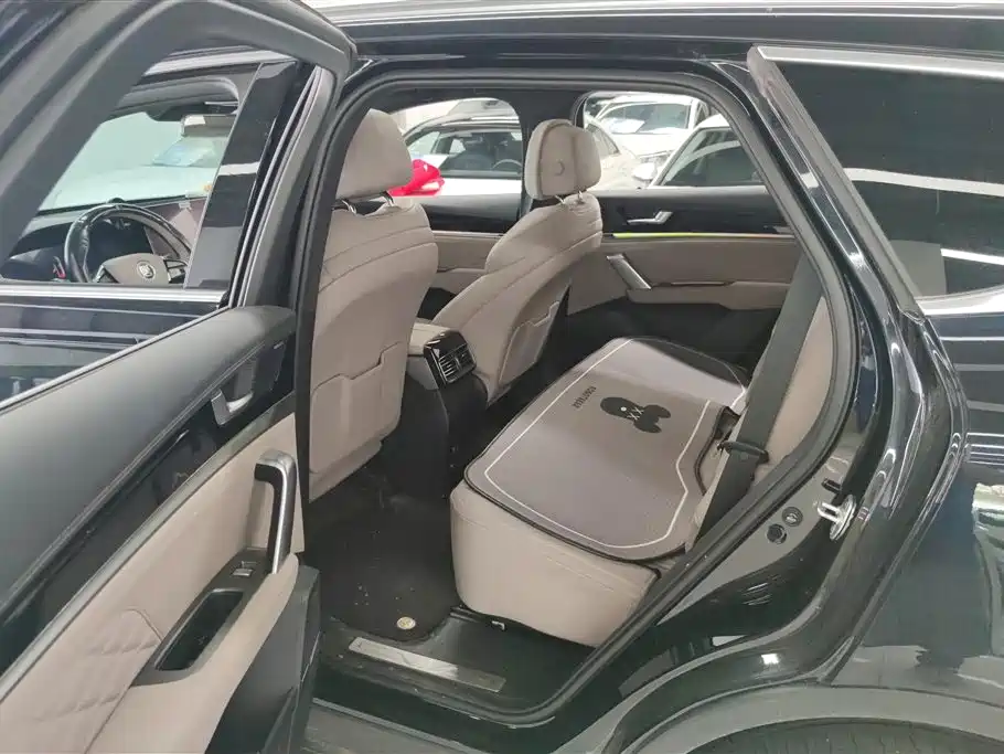 BYD Tang New Energy 2024 Model DM-i Glory Edition 112KM Flagship Type фото 11
