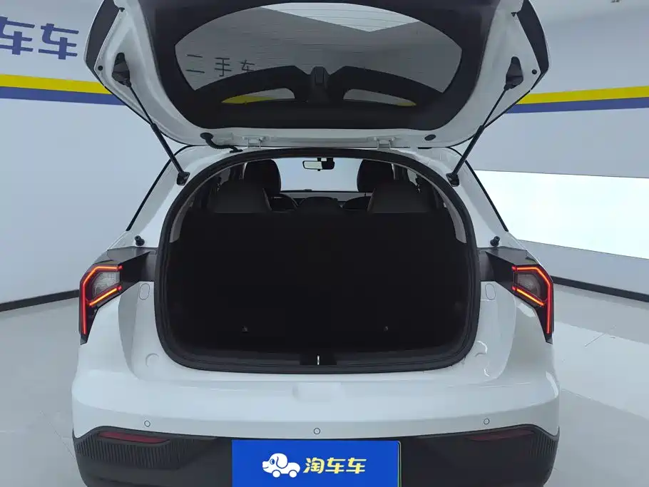 Geely Geometry E Firefly 2024 2024 Model 301km Starlight