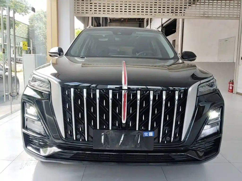 Фото 3 - Hongqi HS5