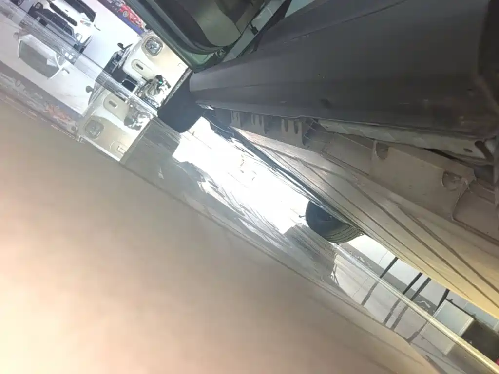 Geely Geometry E Firefly 2024 2024 Model 301km Starlight