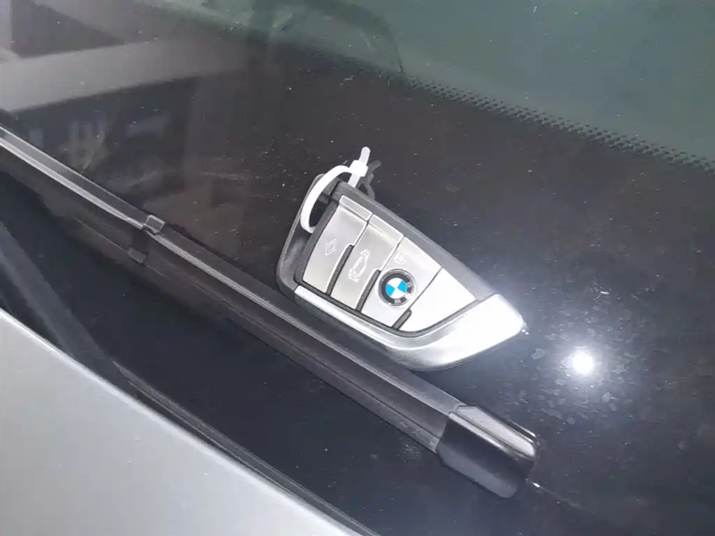 BMW 5 Series (Import) 2022 Facelift 530i M Sport Package фото 15