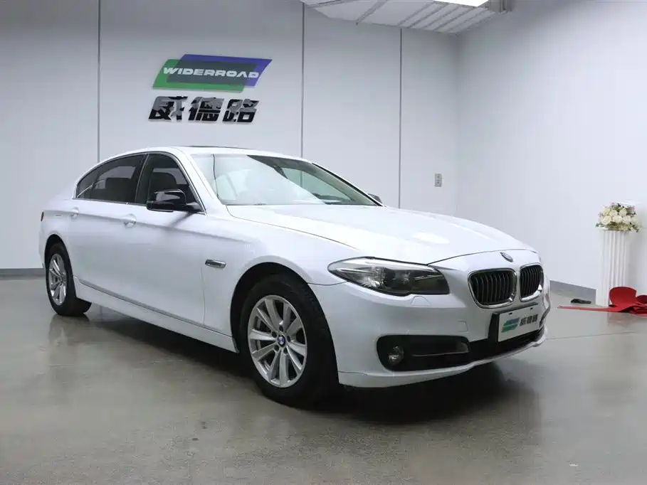 BMW 5 Series 2014 520Li Elegance фото 4