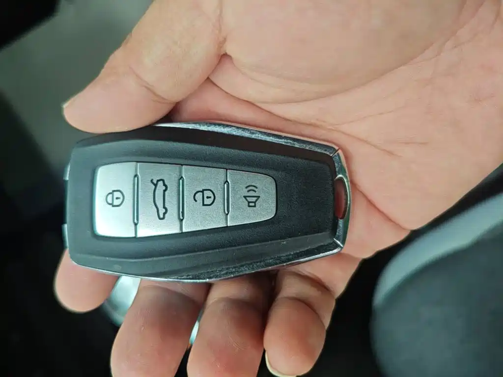 Geely Geometry E Firefly 2024 2024 Model 301km Light Flow
