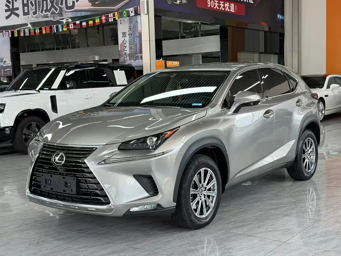 Lexus NX 2020 200 FWD Fengyi Edition China VI