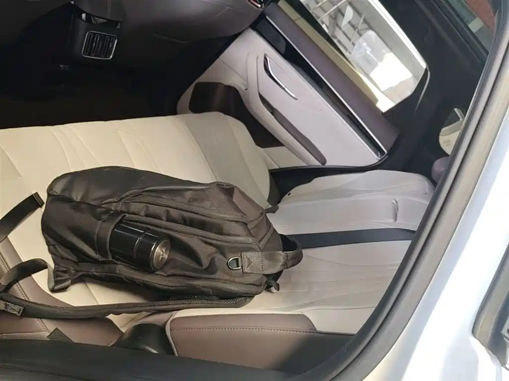 BYD Song PLUS PHEV 2025 DM-i 112KM Premium фото 17