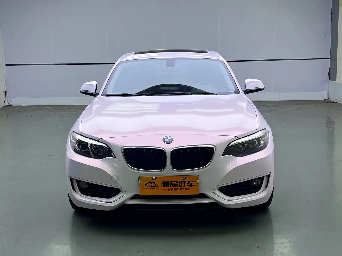 BMW 2 Series (Import) 2015 218i фото 2