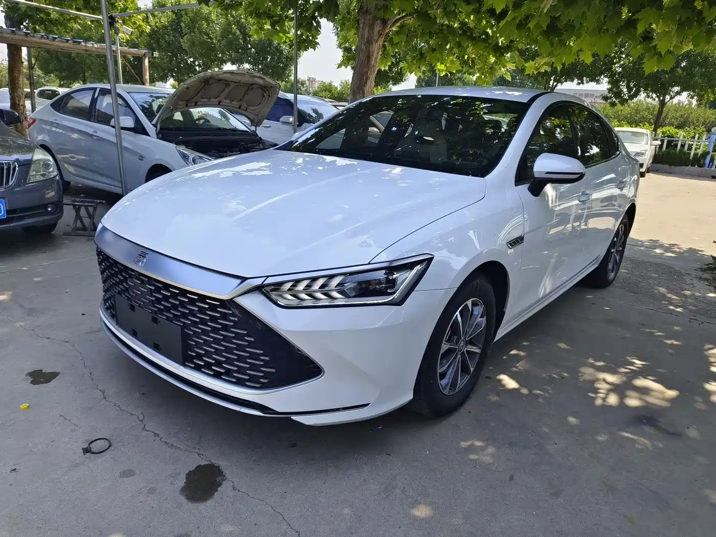 BYD Qin PLUS 2024 Glory Edition DM-i 55KM Leading