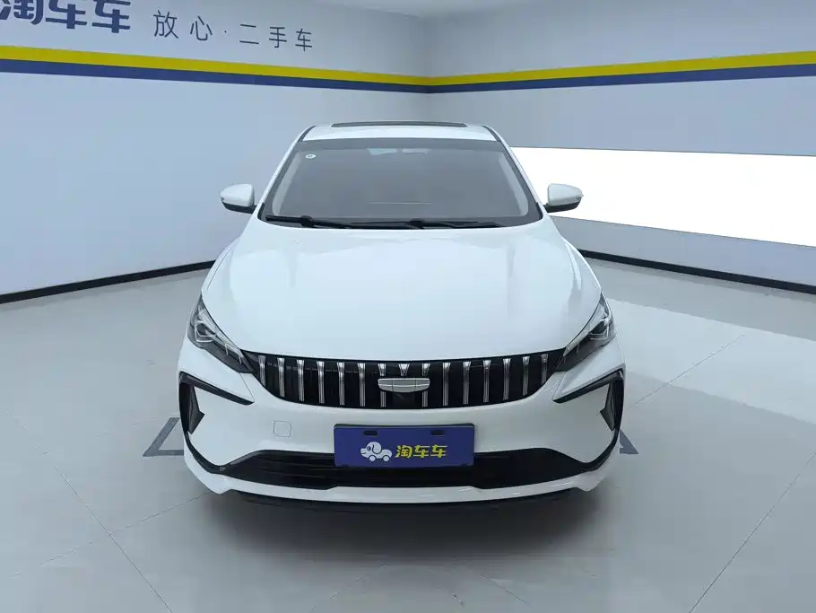 Фото 2 - Geely Binrui