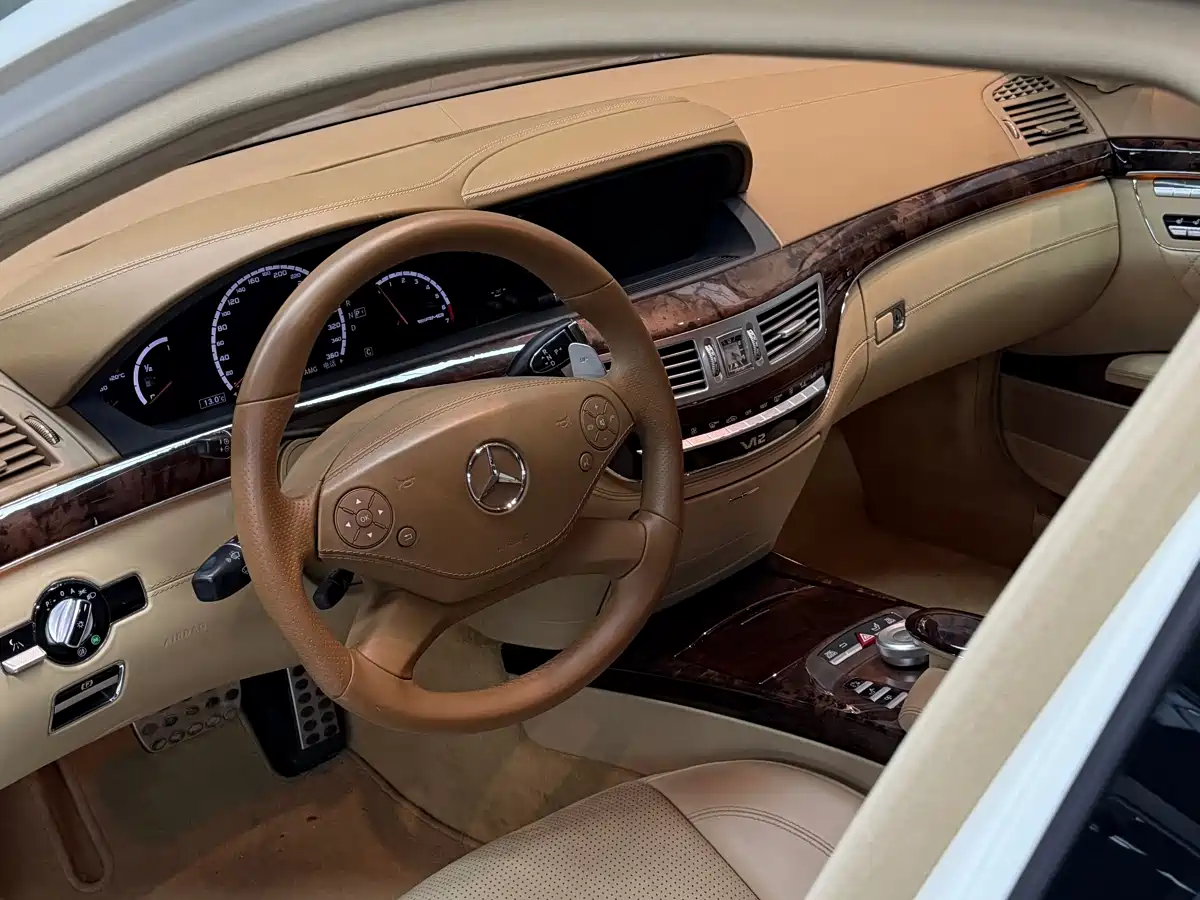 Mercedes-Benz S-Class AMG 2010 AMG S 65 фото 15