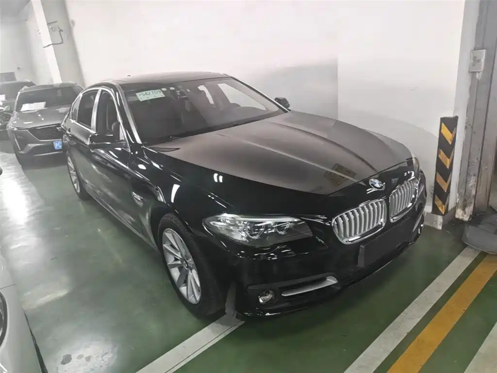 BMW 5 Series 2014 535Li Leadership фото 4