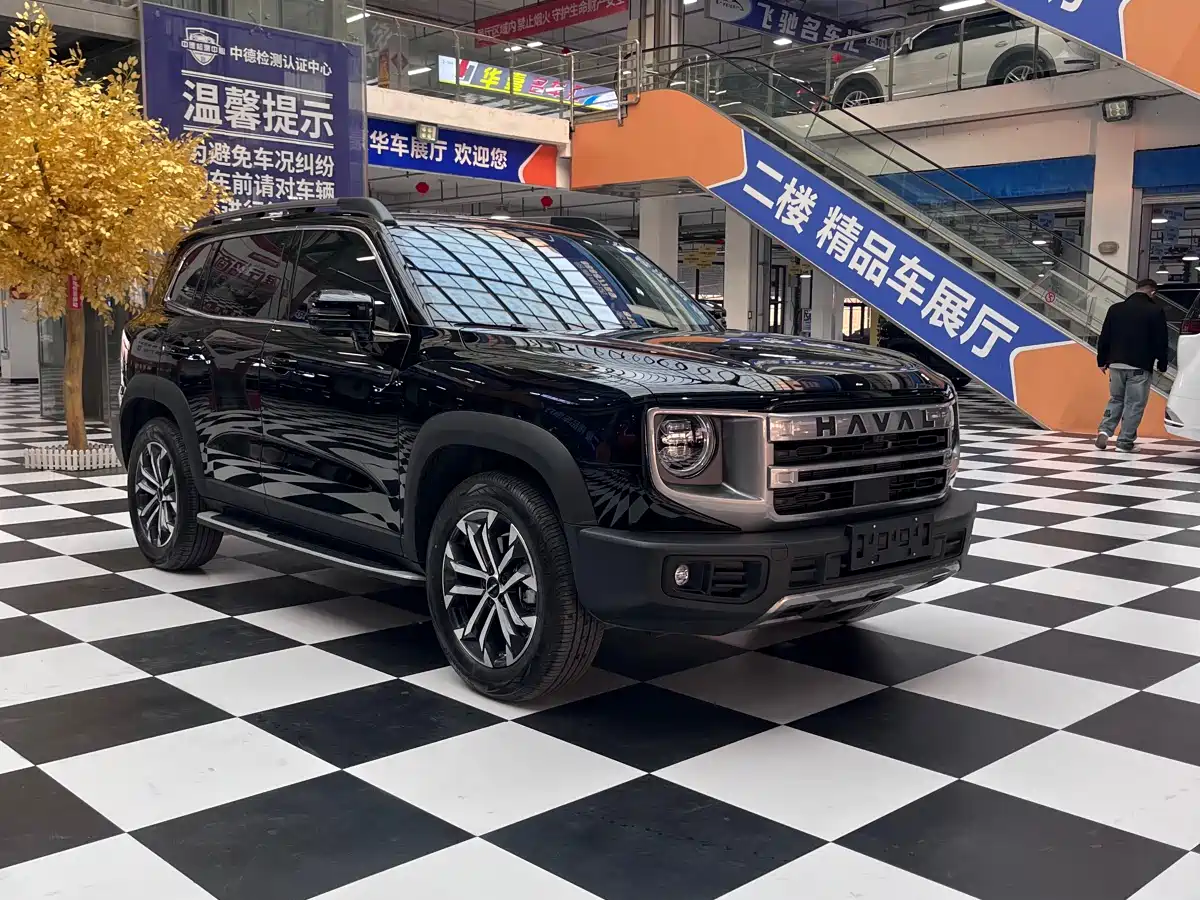 Haval Big Dog 2024 1.5T DCT Border Collie Edition фото 3