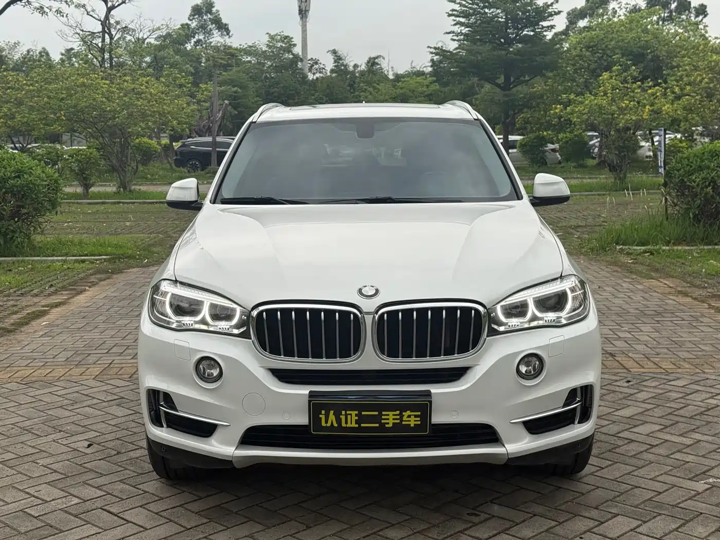 BMW X5 (Import) 2017 xDrive28i фото 2