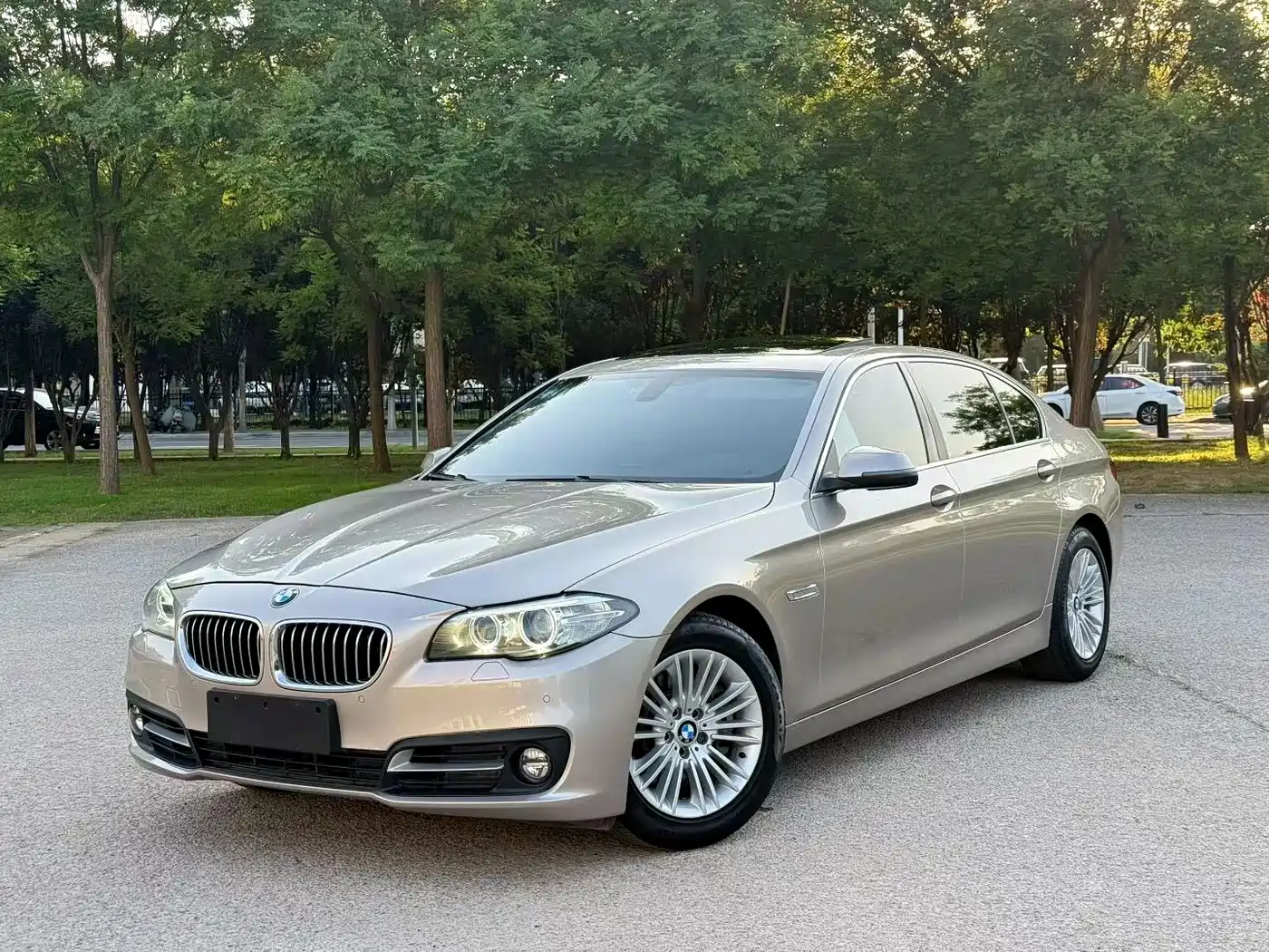 BMW 5 Series 2014 525Li Leading