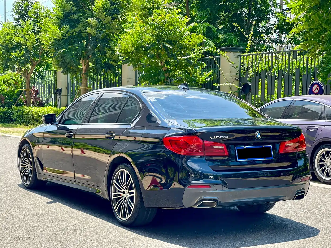 BMW 5 Series 2019 530Li Leading M Sport Package фото 7