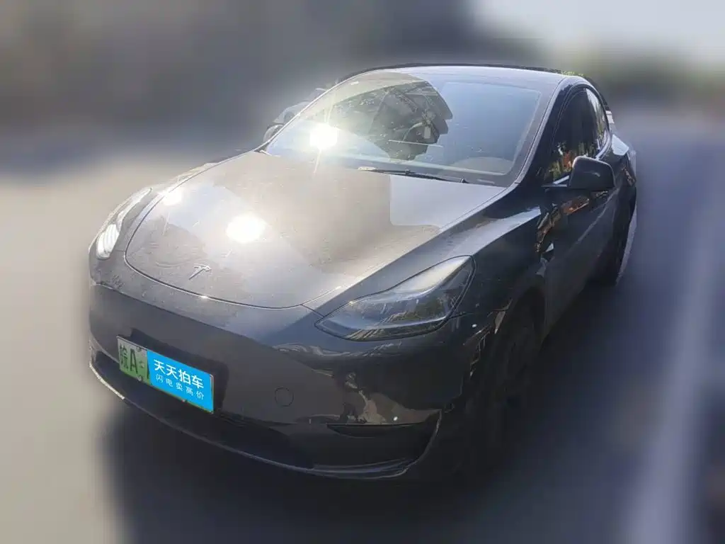 Tesla Model Y 2024 Rear-Wheel Drive Version