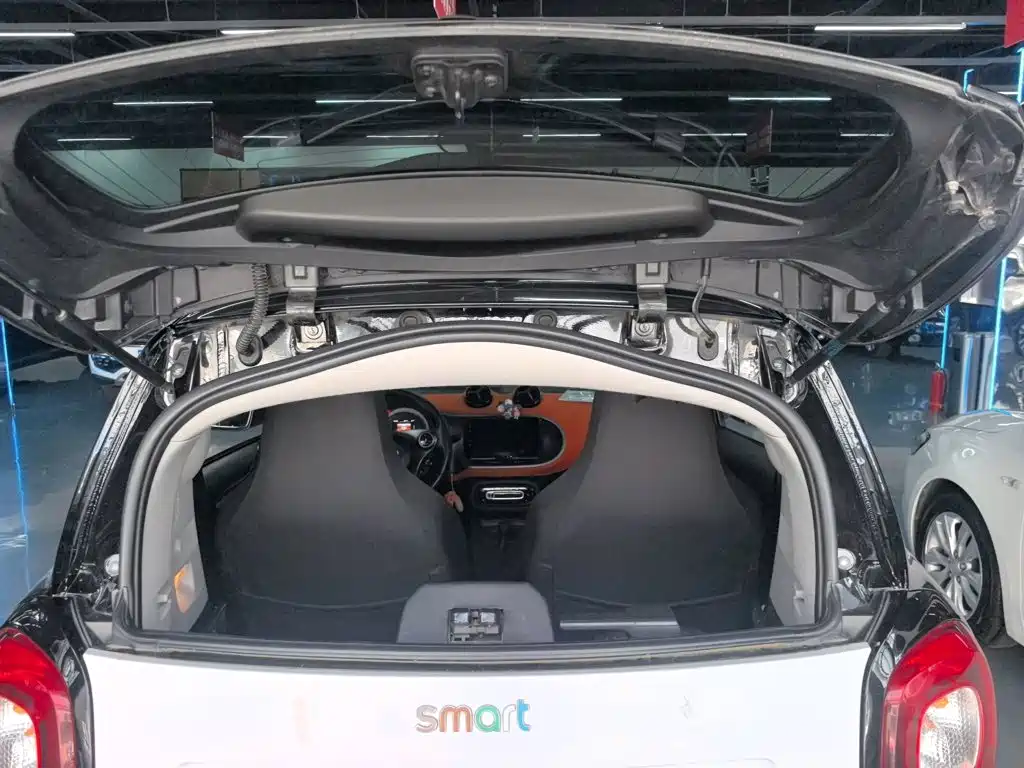 صورة 15 - smart fortwo