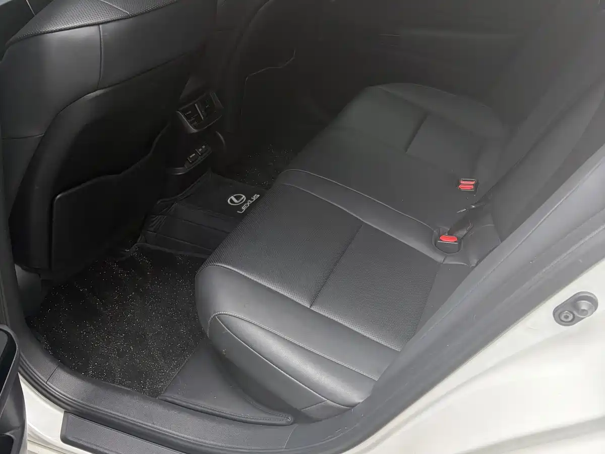 Lexus ES 2021 300h Luxury Edition фото 5