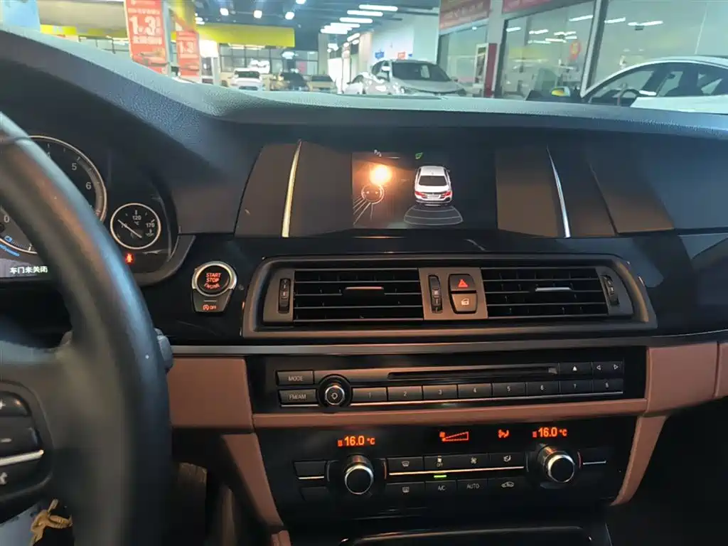 BMW 5 Series (Import) 2015 520i Elegance фото 13
