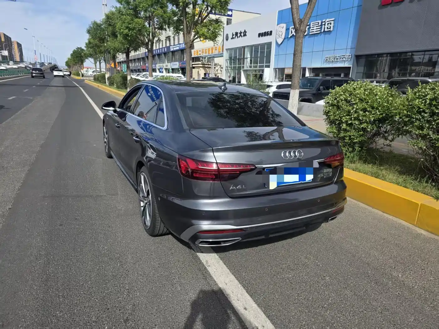Audi A4L 2020 45 TFSI quattro Premium Dynamic фото 6