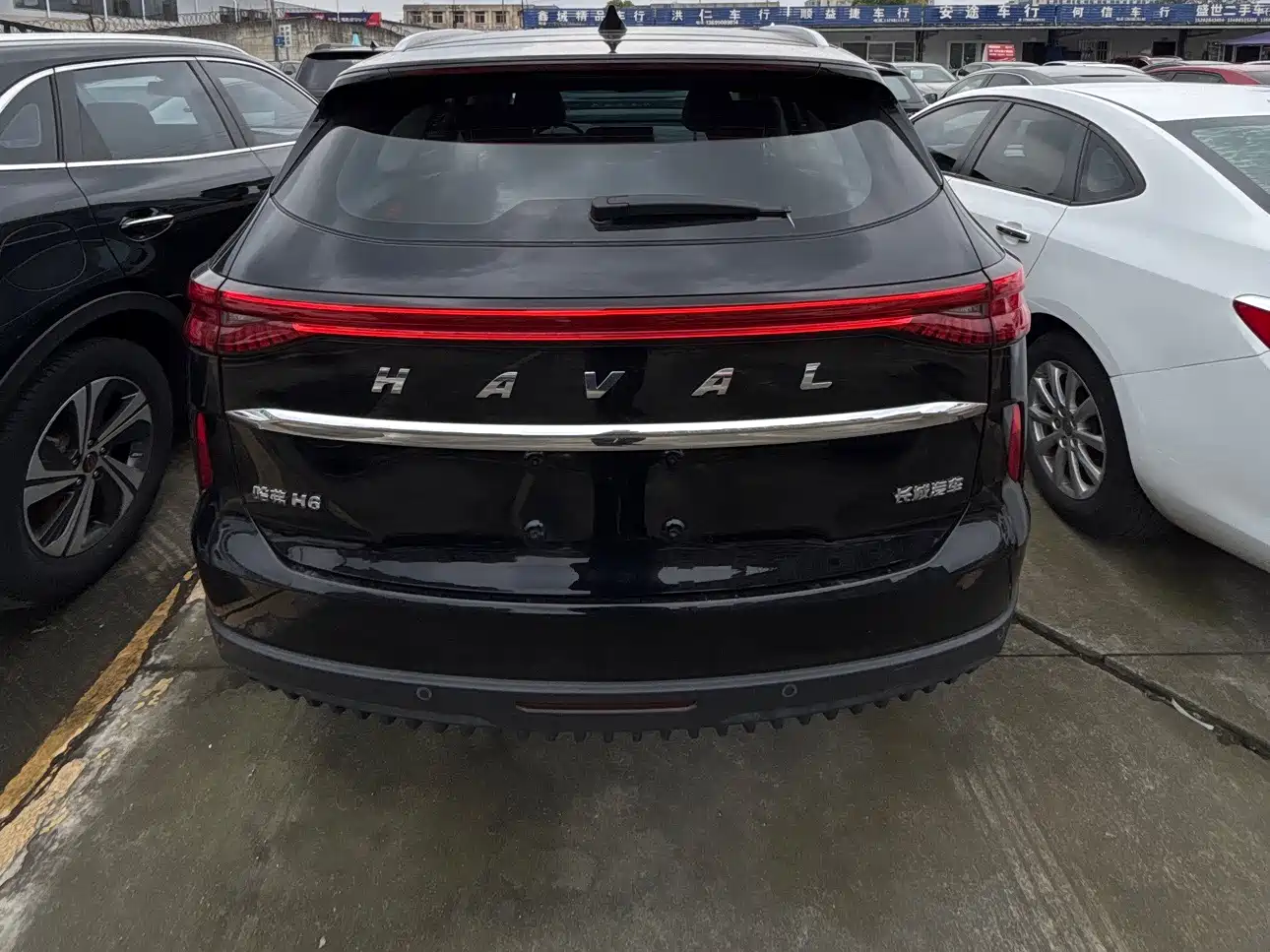 HAVAL H6