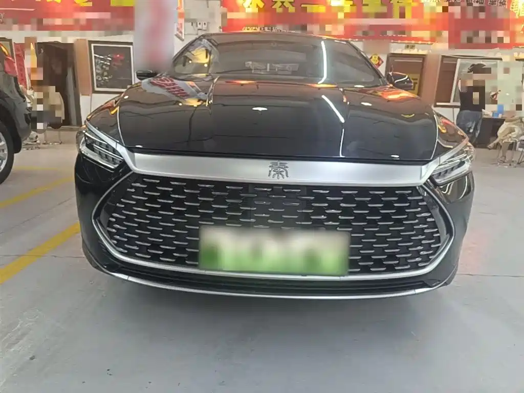 BYD Qin PLUS 2021 DM-i 55KM Flagship фото 3