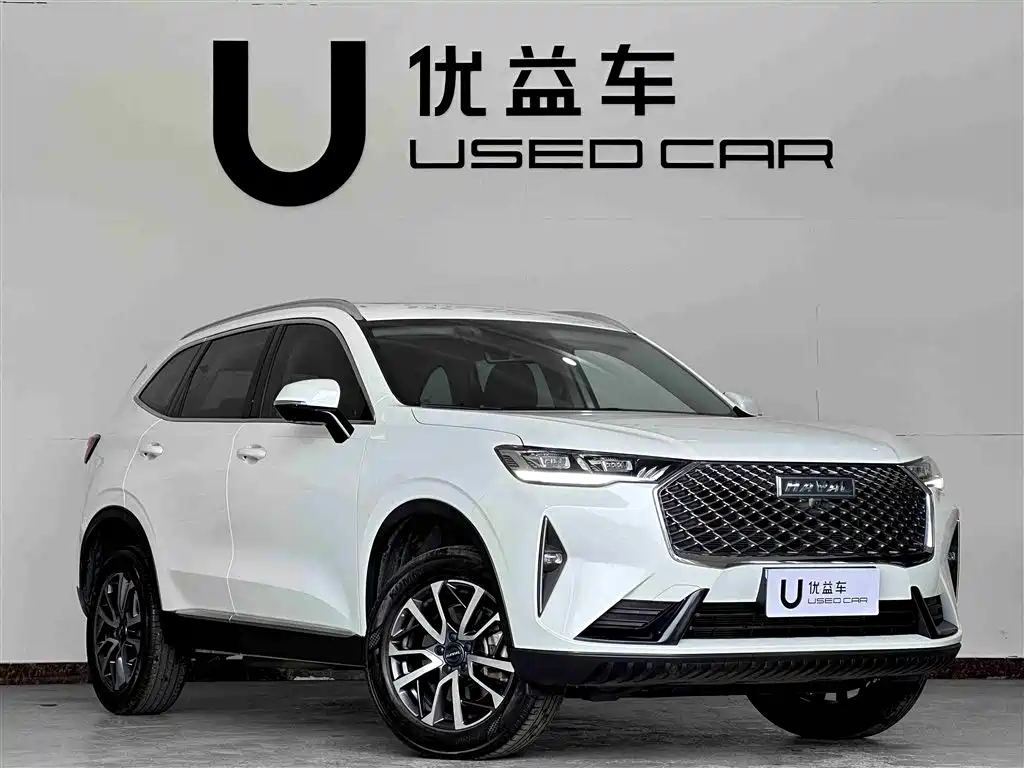 Haval H6 2022 3rd Gen 1.5T Auto 2WD Pro фото 3