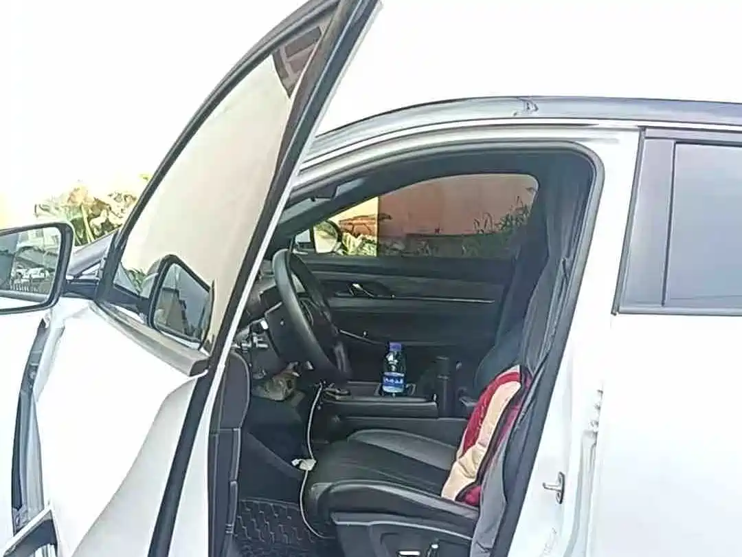2025 Dongfeng Aeolus Dongfeng Fengshen L7